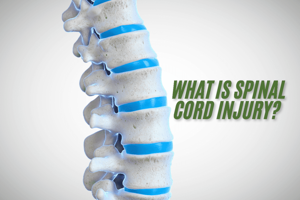 Graphic of a segment of the spine with the text 'What is Spinal Cord Injury'