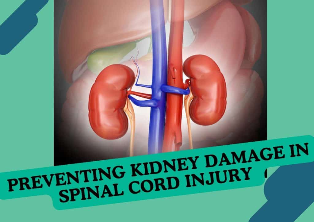 highlighting strategies to prevent kidney damage through proper care, hydration, and medical support