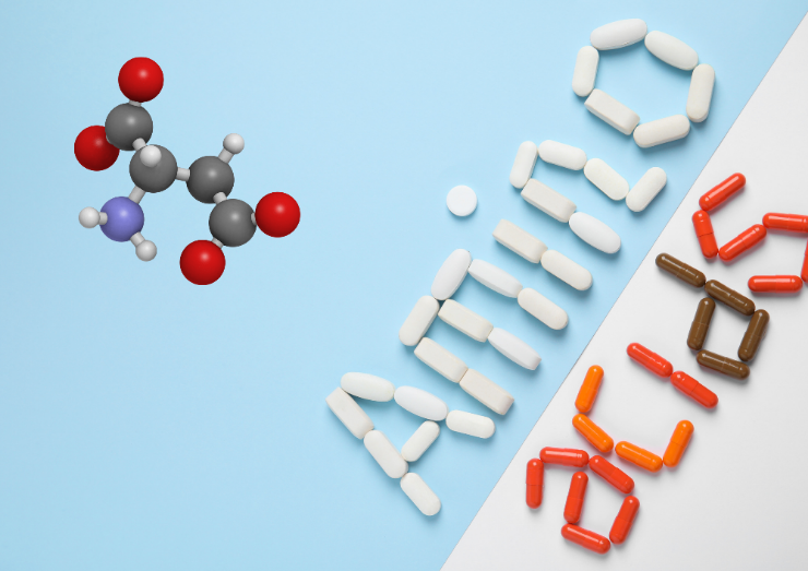 Graphics of the text amino acids 